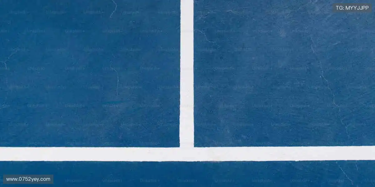 专业解说,深度剖析!🎙️